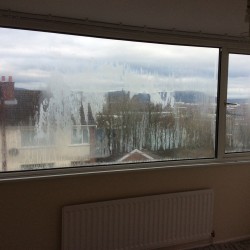 Misty Windows Before